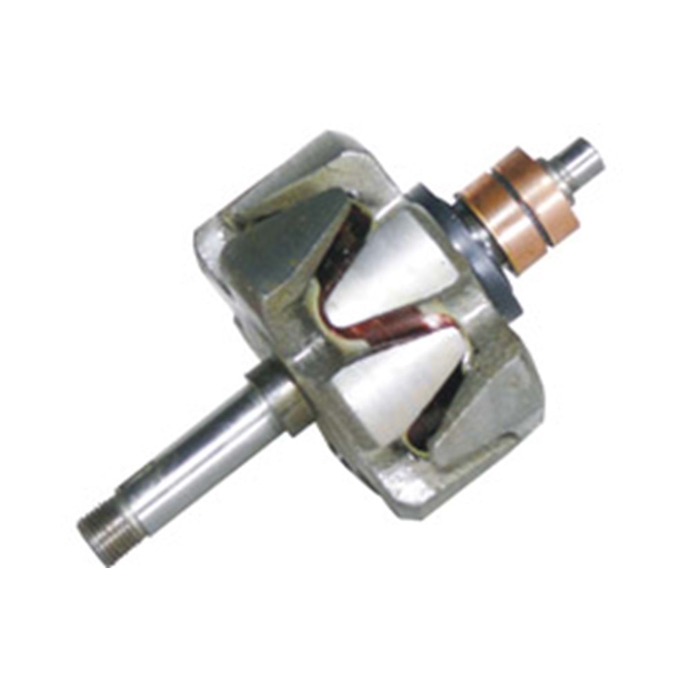 ALT ROTOR B.TIP DAF MAN