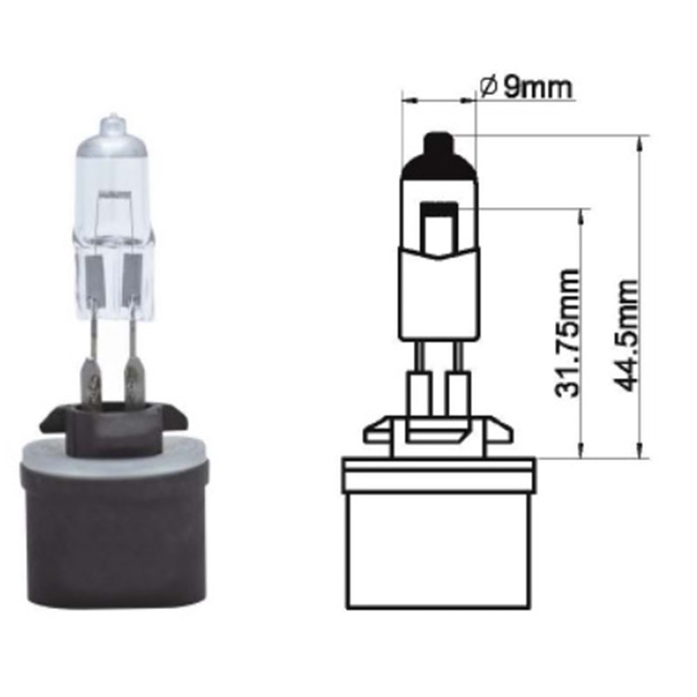 H 27 12 V 27 W AMPUL DÜZ
