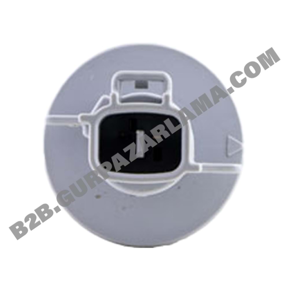 AMPUL DUYU TEKLİ JAPON KORE ÇAPRAZ YAKIN TIRNAK GR