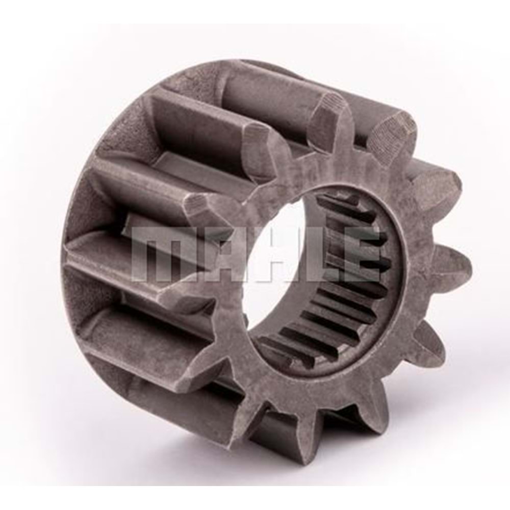 16912517 M.DİŞLİSİ