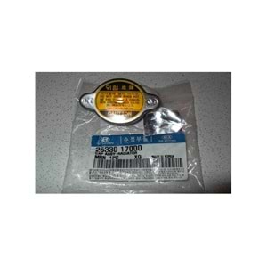 RADYATÖR KAPAĞI 0,9 BAR