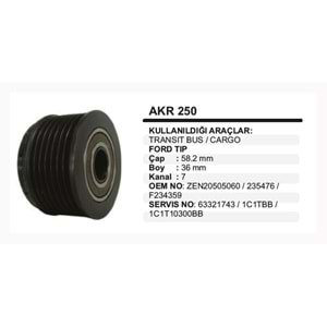 ALT KASNAK RULMANLI TRANSIT BUS,CARGO