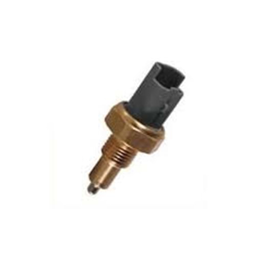 GERİ VİTES MÜŞÜRÜ 405 106 206 307 SW