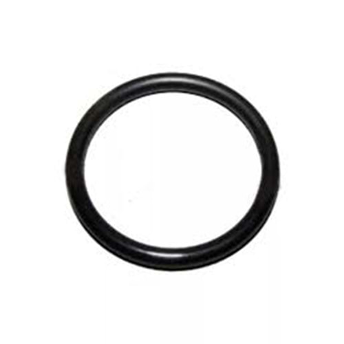 YAĞ SOĞUTUCU ORİNGİ (BÜYÜK) SORENTO 03>