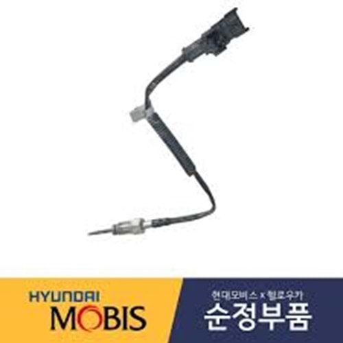 EKSOZ SICAKLIK SENSÖRÜ HYUNDAİ H100 KMYT 2021>
