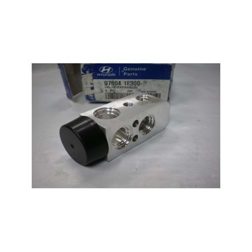 GENLESME VALFI ACCENT ERA 06>