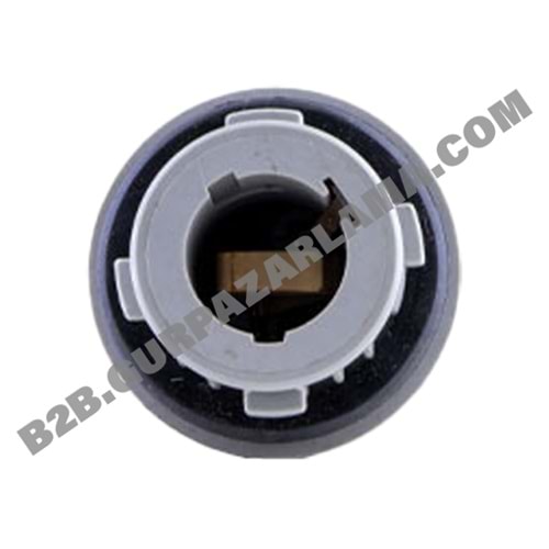 AMPUL DUYU TEKLİ JAPON KORE ÇAPRAZ YAKIN TIRNAK GR