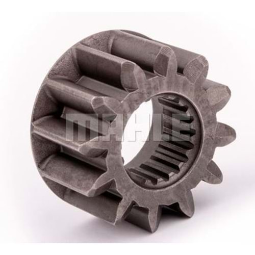 16912517 M.DİŞLİSİ