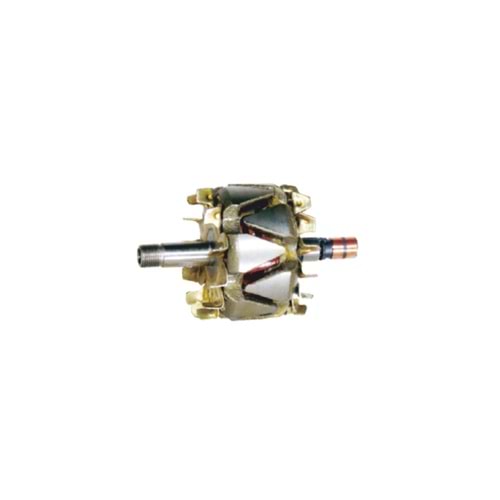 ALT ROTOR 12V 100A BOSCH TIPI RENAULT MEGANE LAGUN