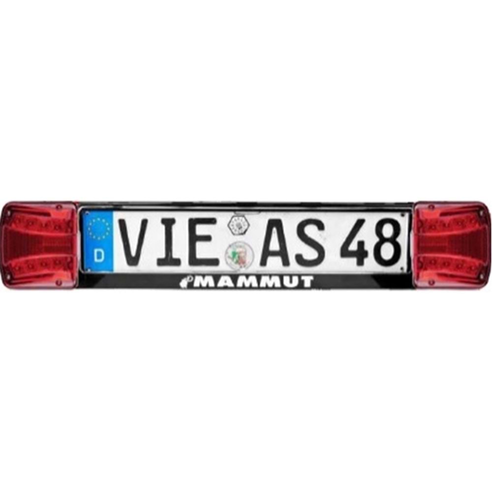 NEON LED MAXİ IŞIKLI PLAKALIK BOŞ