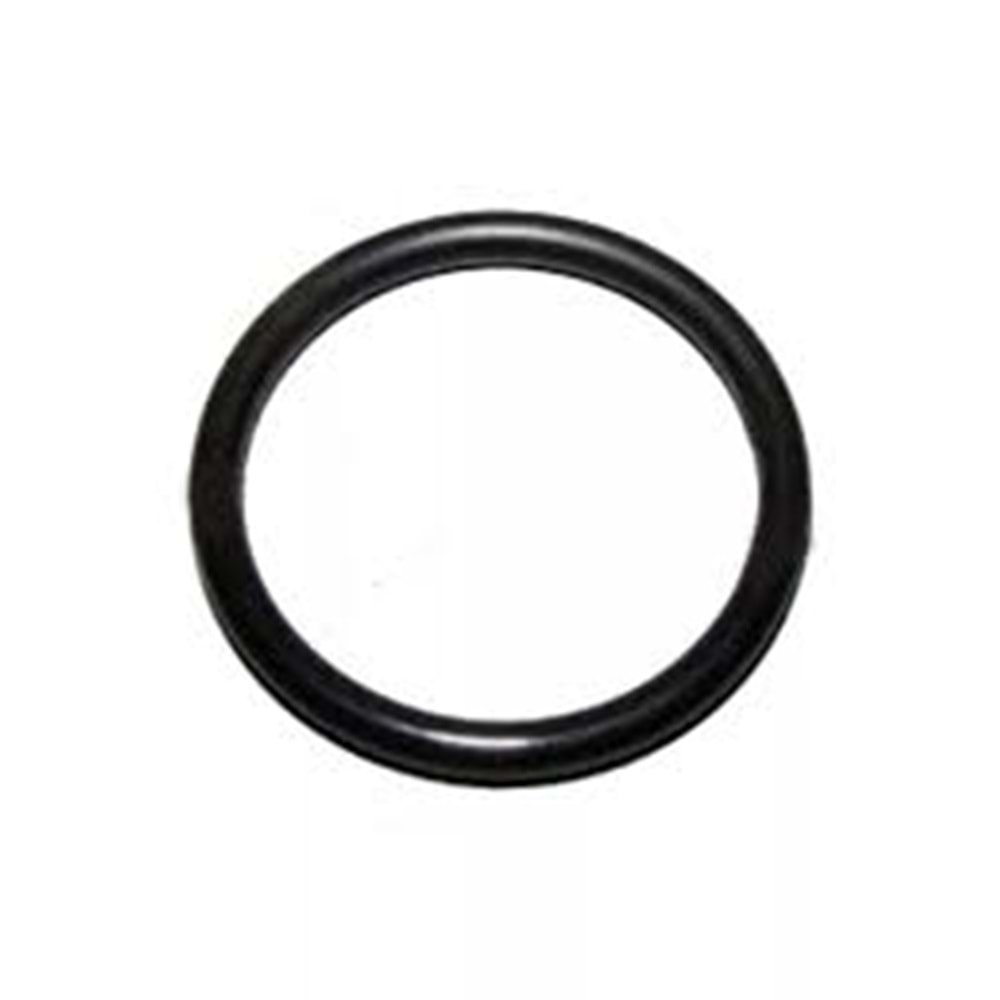 YAĞ SOĞUTUCU ORİNGİ (BÜYÜK) SORENTO 03>