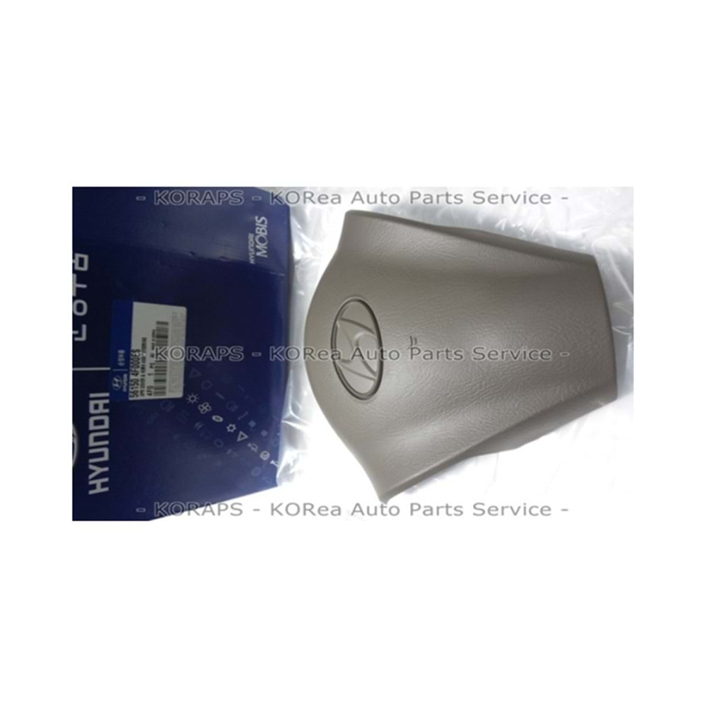 DIREKSIYON KORNA KAPAGI HYUNDAI H100 KAMY 04>