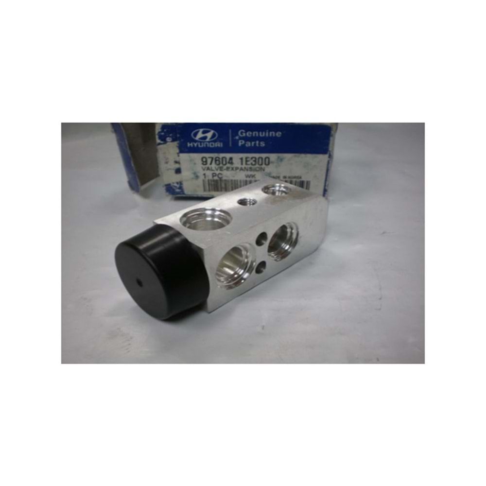 GENLESME VALFI ACCENT ERA 06>