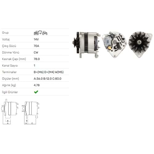 ALT DINAMO 14V 70A CASE CX50