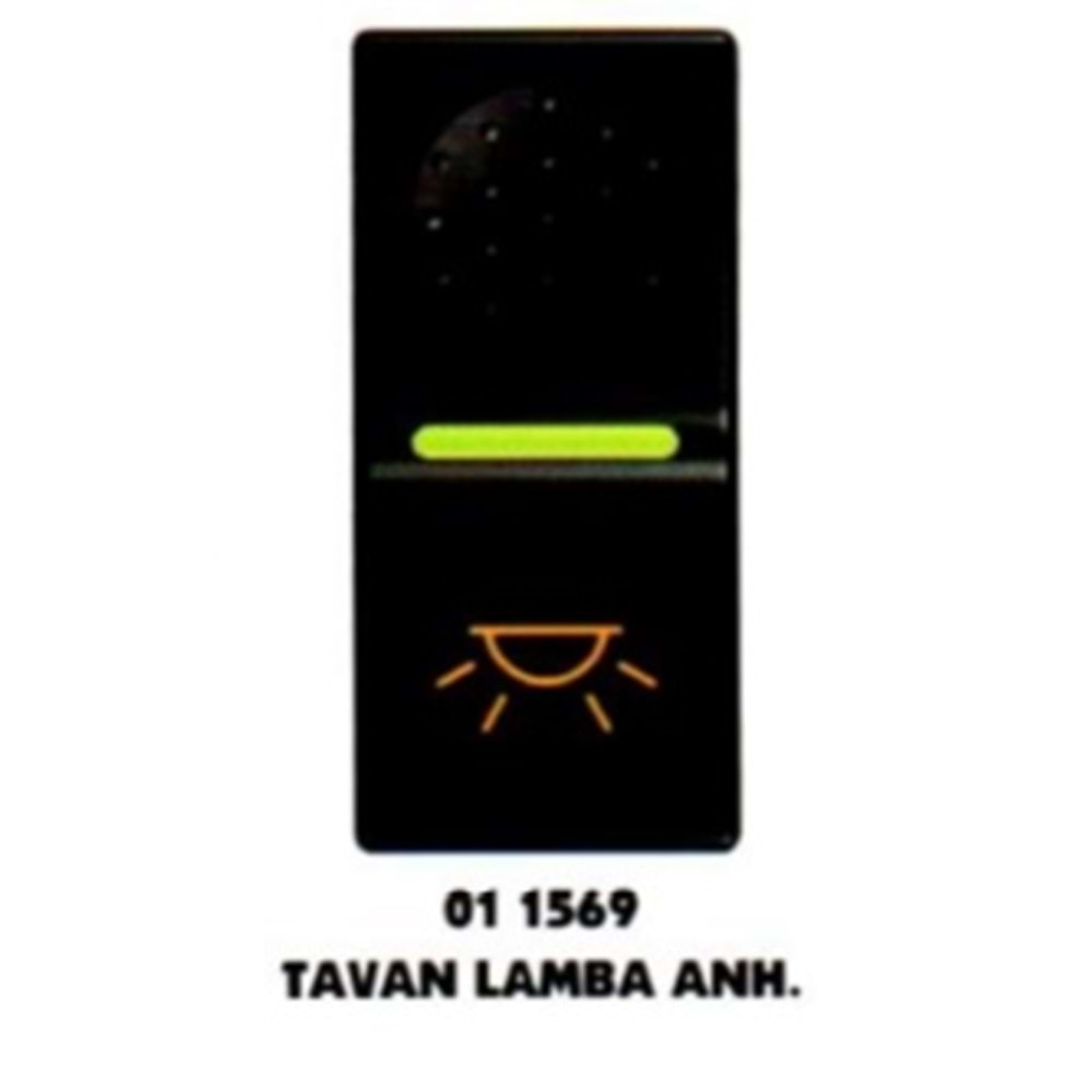 FORD CARGO Y.M. ANH. TAVAN LAMBA