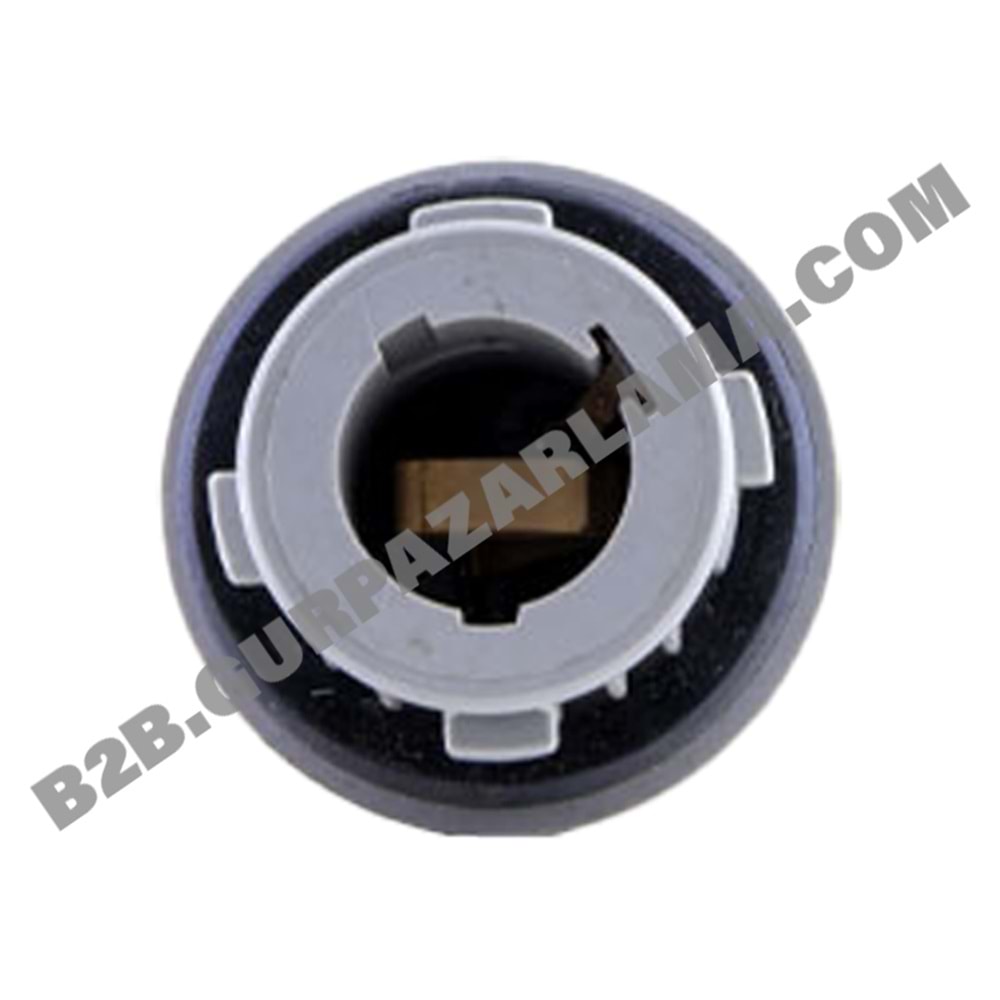 AMPUL DUYU TEKLİ JAPON KORE ÇAPRAZ YAKIN TIRNAK GR