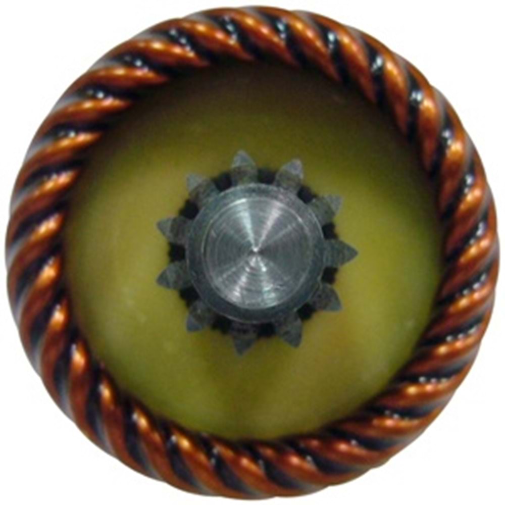 KOLL.12V FORD FOCUS - FORD ESCORT