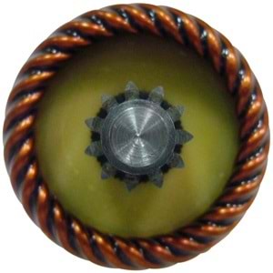 KOLL.12V FORD FOCUS - FORD ESCORT