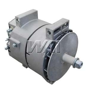 8096N ALTERNATÖR 24V 100A CAT